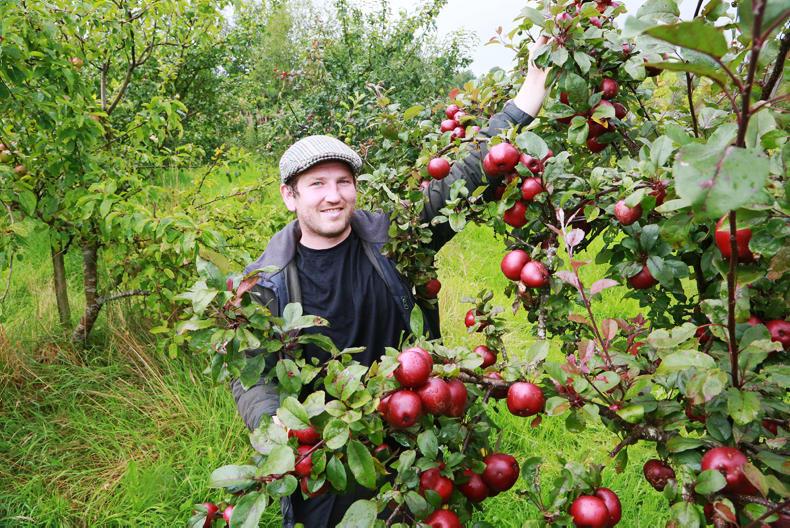 Saturday 22 February 2025: Orchard Management Workshop with Jeremy Turkington