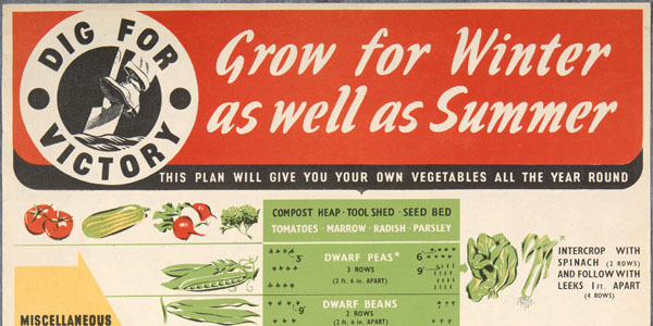 VE Day 80: Digging for Victory