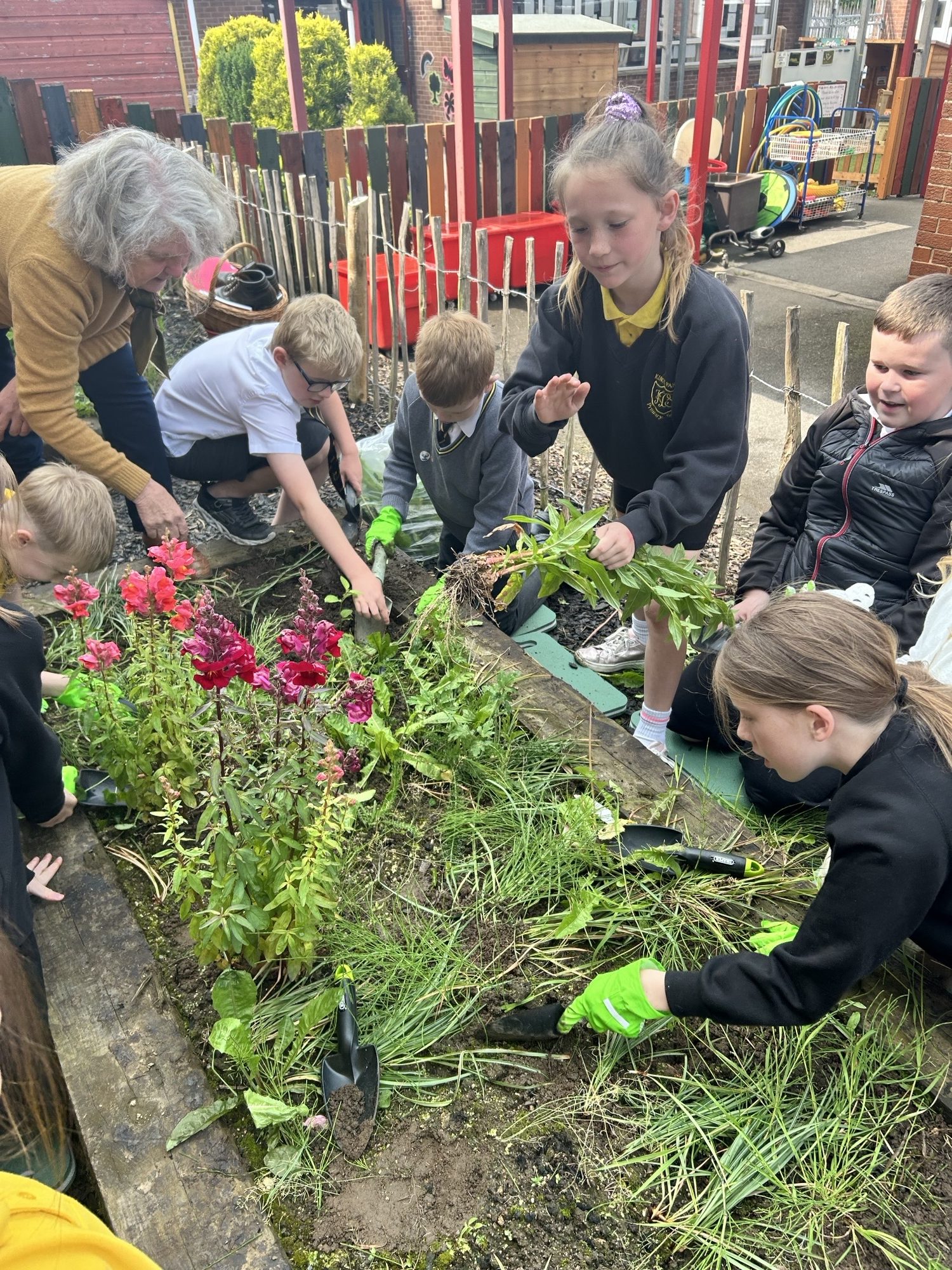 VE Day 80: Digging for Victory